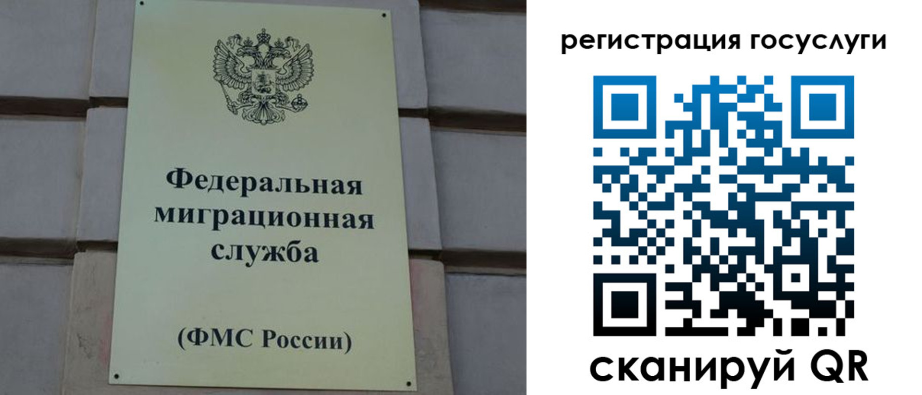 временная регистрация поиск в Клинцах